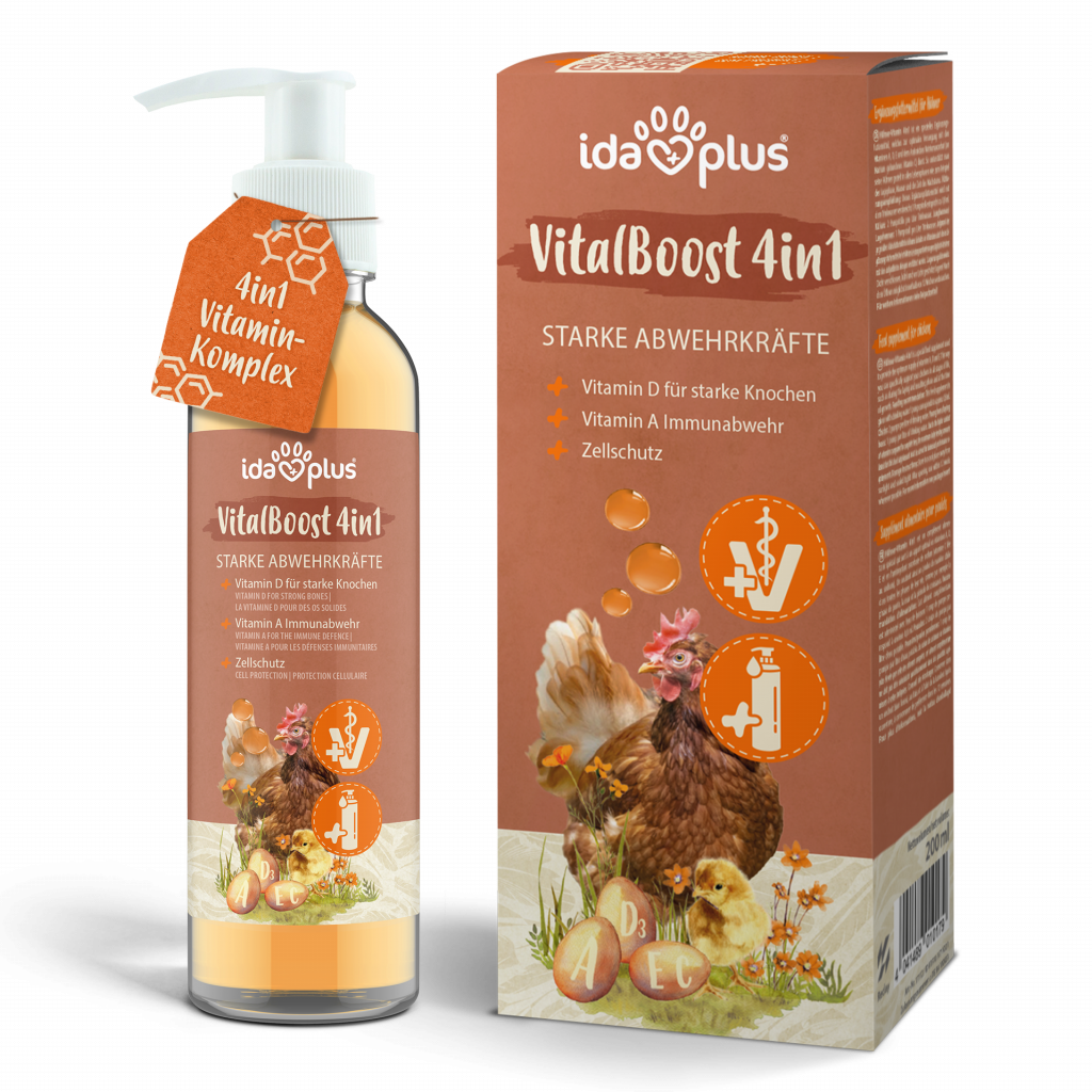 Produkt VitalBoost 4in1
