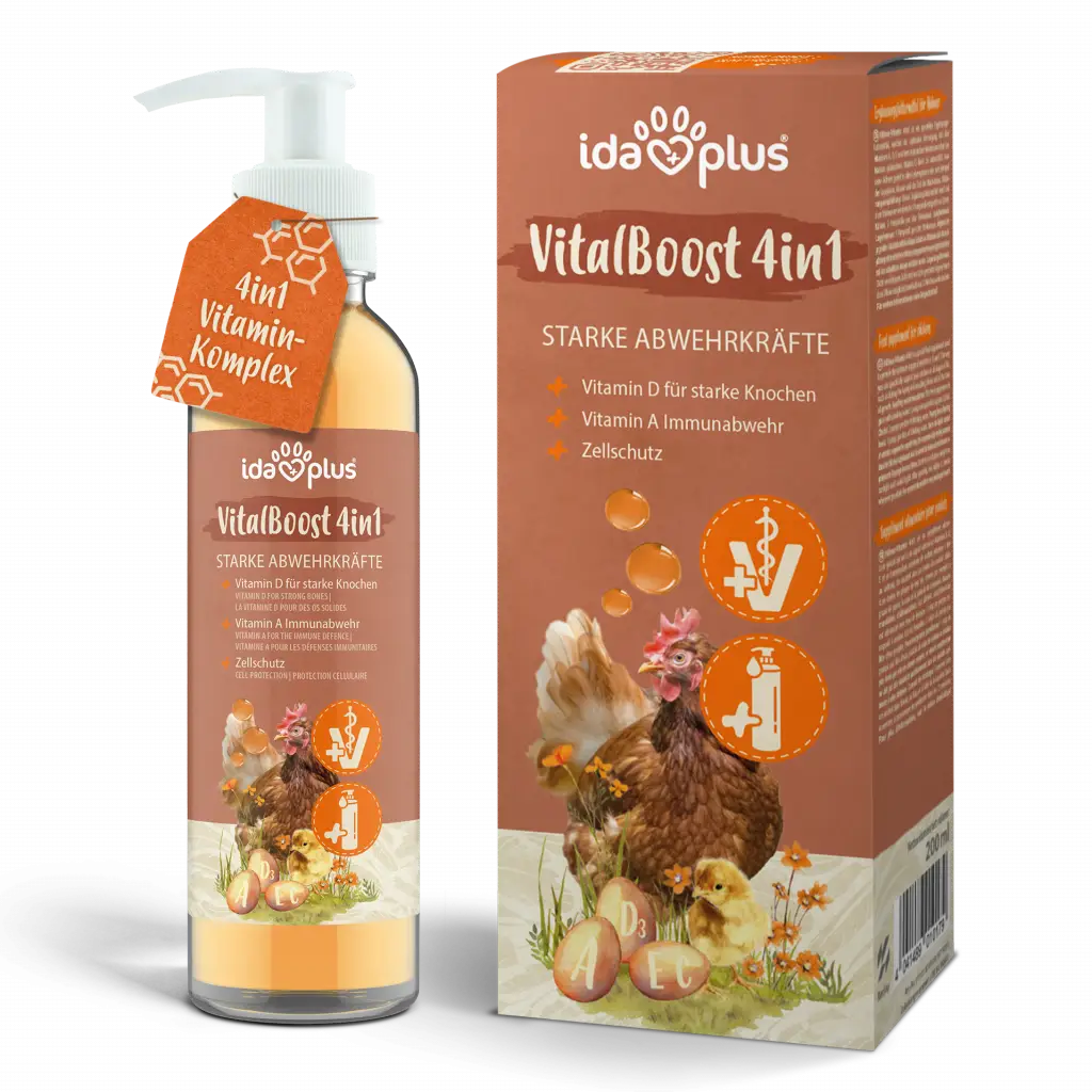 Produkt VitalBoost 4in1. Flasche und Produktkarton