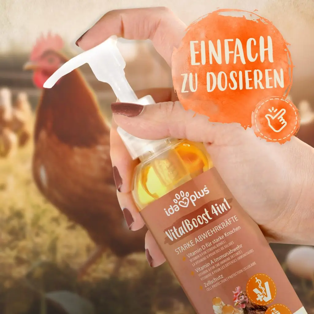 VitalBoost 4in1 Produktfoto, Produkt wird in der Hand gehalten, Runder Button mit Text: einfach zu dosieren