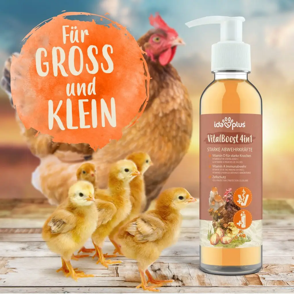 Produktfoto von VitalBoost 4in1, 5 Küken im Vordergrund im Hintergrund eine Henne. Runder Button mit Text: Für Gross und klein