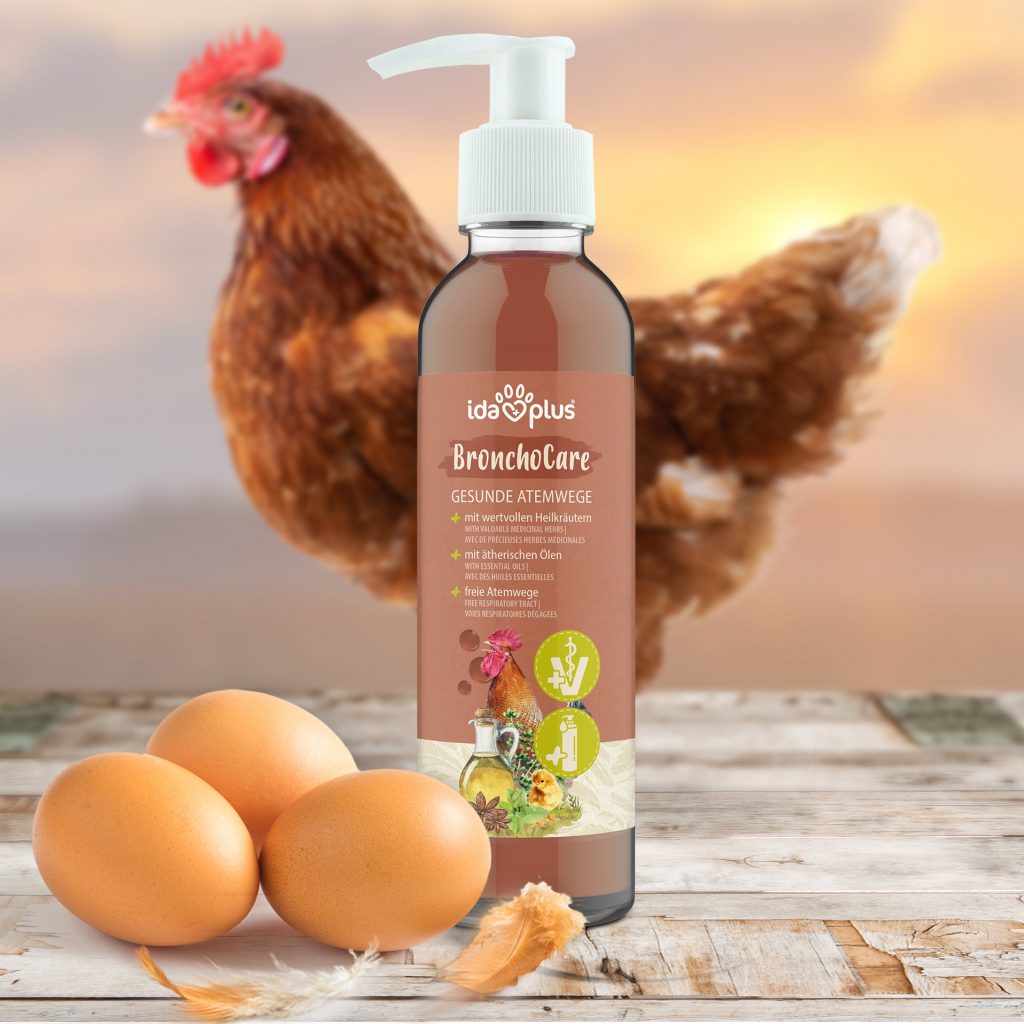 Produkt Broncho Care Flasche steht auf Tisch, im Vordergrund 3 Eier mit 2 braunen Federn. Im Hintergrund verschwommen eine Henne aus der Seitenansicht