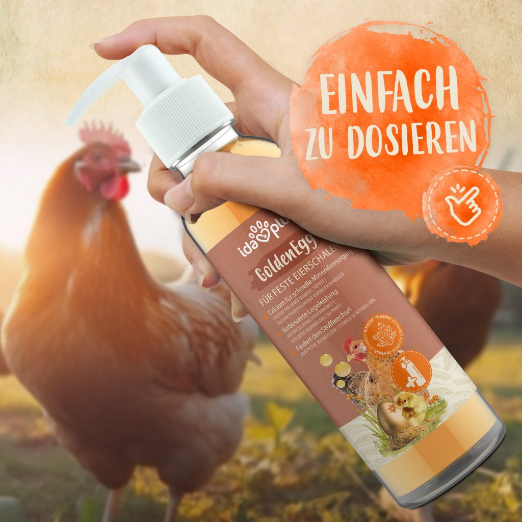 GoldenEgg Produktfoto, Produkt wird in der Hand gehalten, Runder Button mit Text: einfach zu dosieren, im Hintergrund Huhn