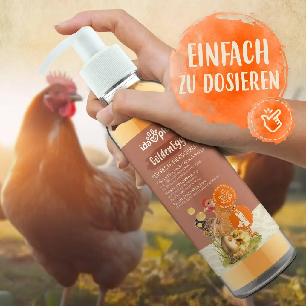 GoldenEgg Produktfoto, Produkt wird in der Hand gehalten, Runder Button mit Text: einfach zu dosieren, im Hintergrund Huhn