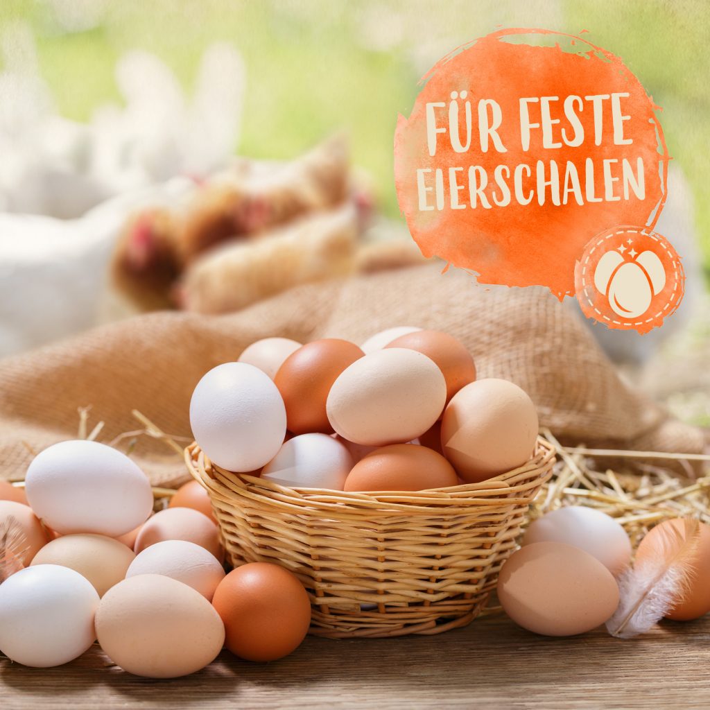 Im Vordergrund Korb mit Eiern und daneben liegenden Eiern auf einem Tisch, Runder Button mit Text: Für feste Eierschalen