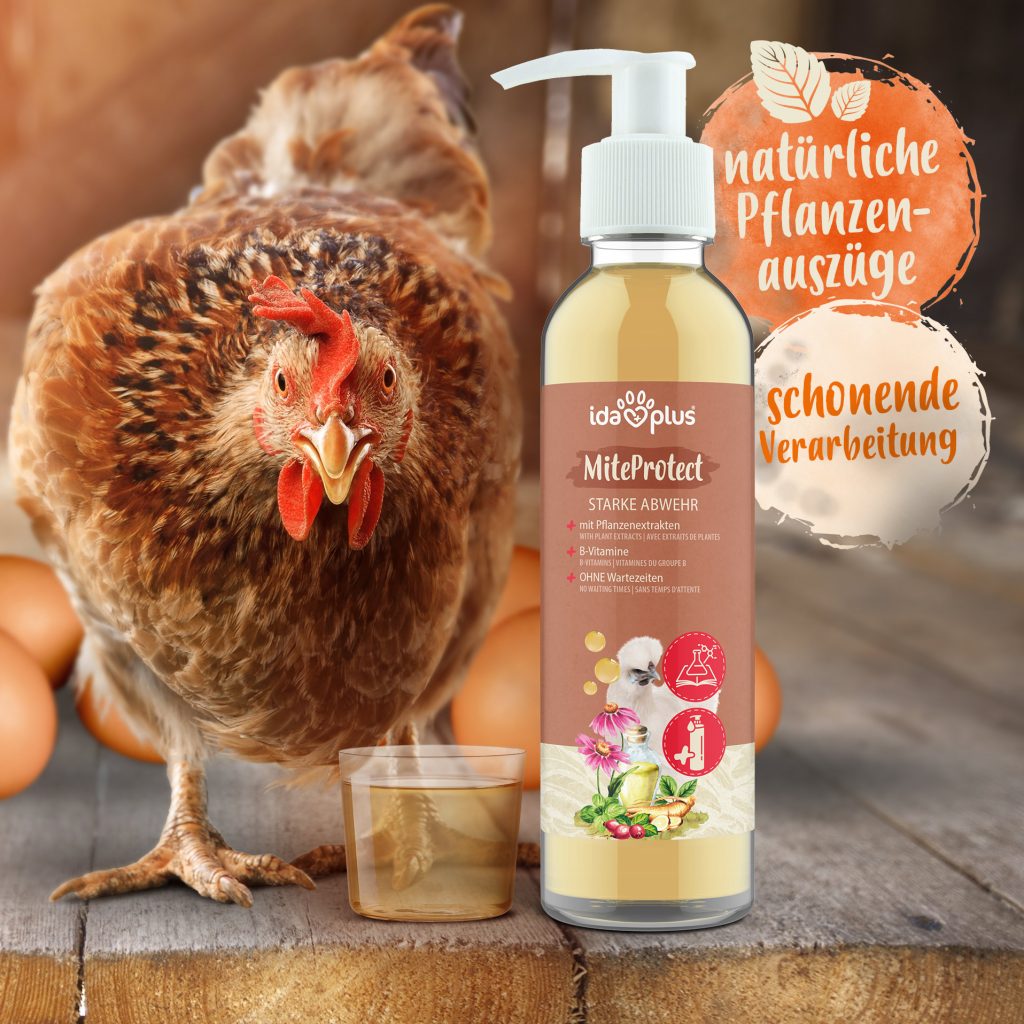 MiteProtect Flasche auf Tisch. Links neben der Flasche kleines Glas gefüllt mit dem Produkt. Im Hintergrund Huhn welches in die Kamera schaut. Runder Button mit Text: natürliche Pflanzen Auszüge, Runder Button mit Text: schonende Verarbeitung