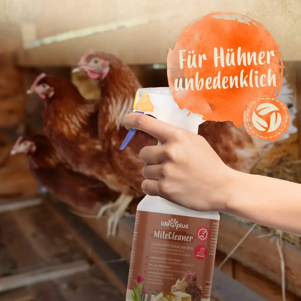 Produkt Mitecleaner in der Hand, Hühnerstall im Hintergrund. Runder Button mit Text: Für Hühner unbedenklich