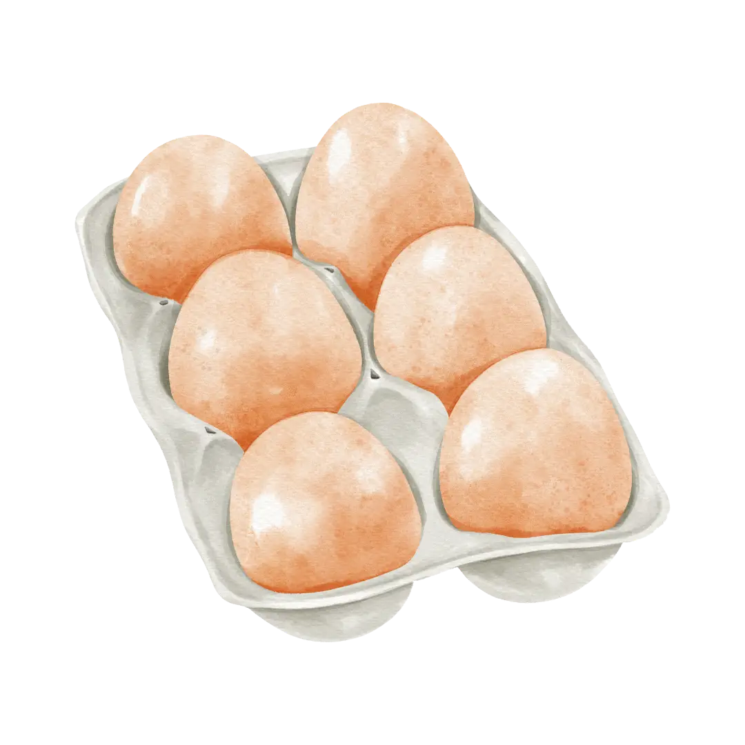 Aquarell Zeichnung eines Eierkartons mit sechs Eiern