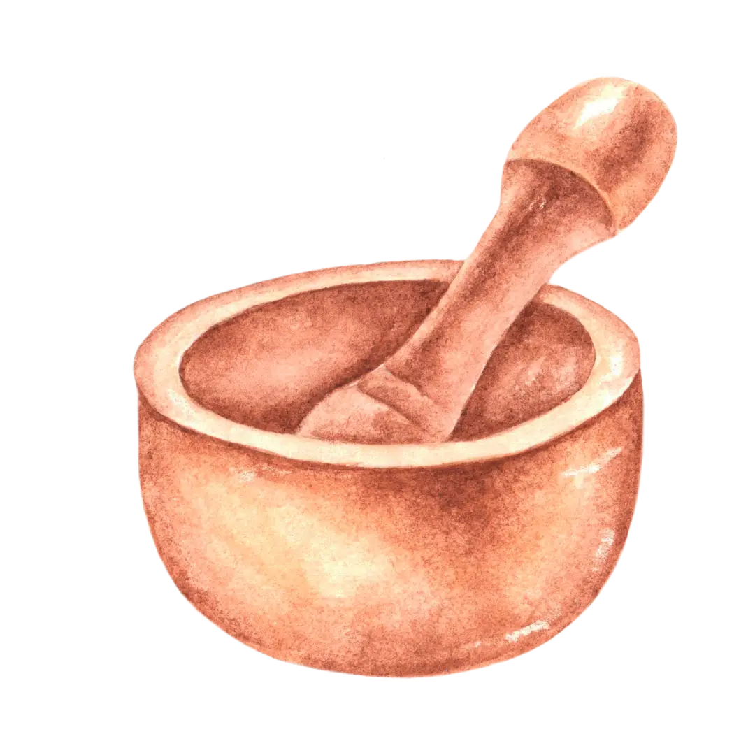 Aquarell Zeichnung eines Mörsers mit Schale