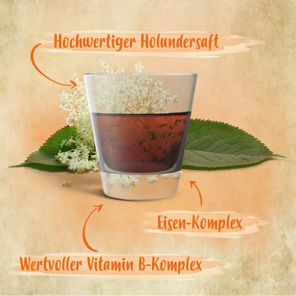ReVital Flüssigkeit in kleinem Behälter mit Holunderblüten im Hintergrund, Text: Hochwertiger Holundersaft, Eisen-Komplex, Wertvoller Vitamin B-Komplex