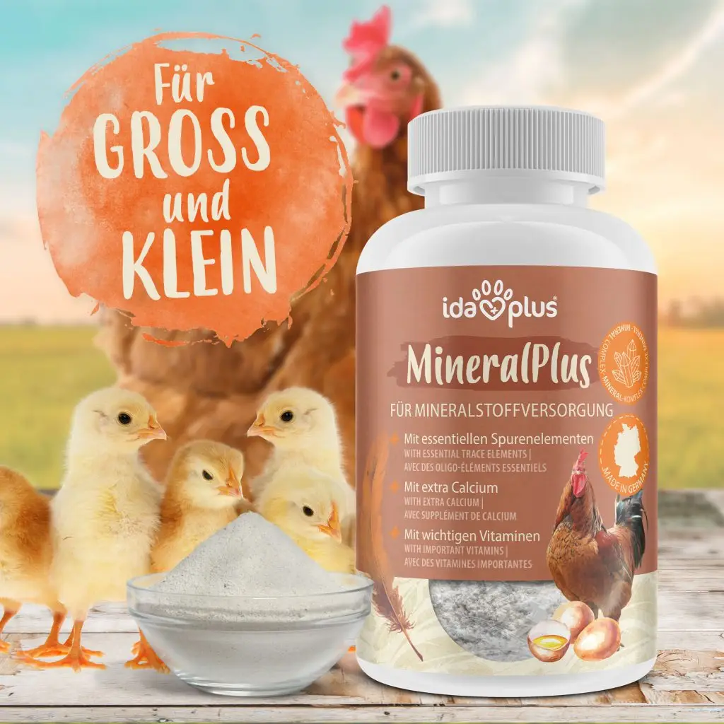 Produkt Power Herbs in der Dose auf Tisch, links neben Produkt Pulver in Glasschale, Hinter Glasschale vier Küken, im Hintergrund ein Huhn, runder Button mit Text: Für Gross und klein