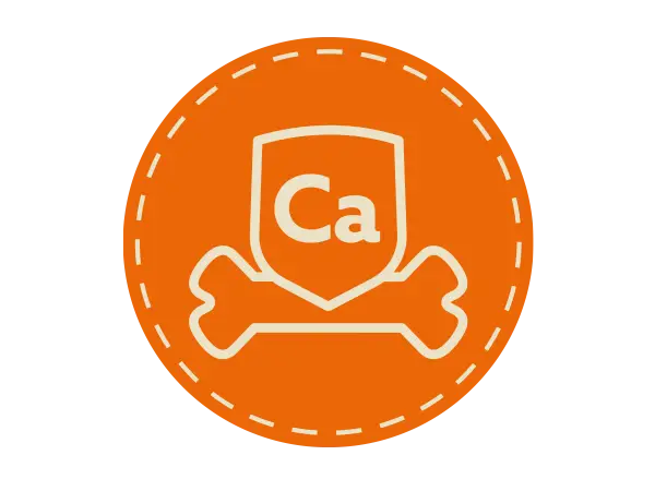 Runder Icon in orange, Mittig ein Knochen mit dem Kürzel ,,Ca" darüber, grafisches Symbol