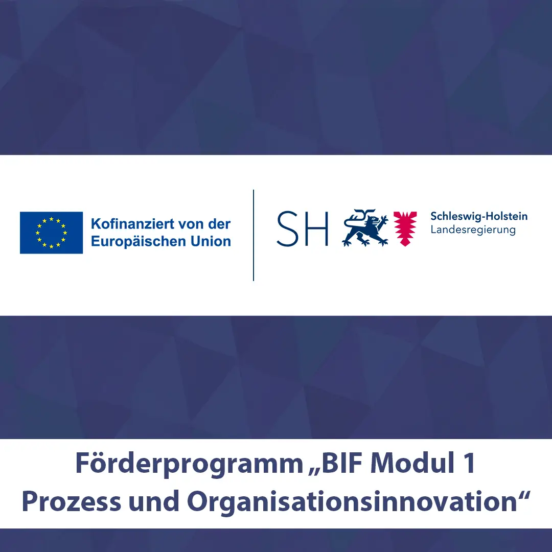 Förderprogramm „BIF Modul 1 Prozess und Organisationsinnovation“