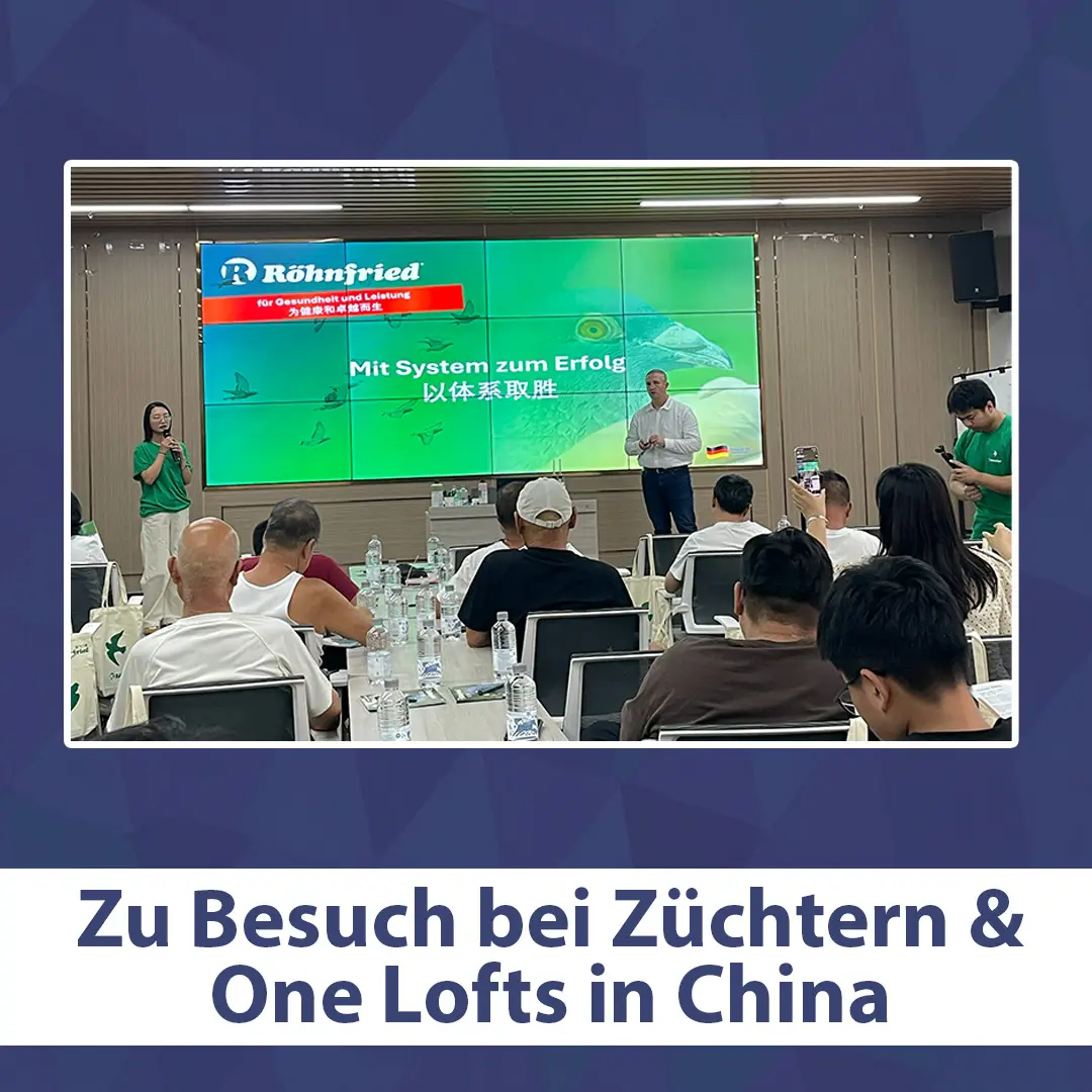 Chinareise: Vortrag über Röhnfried