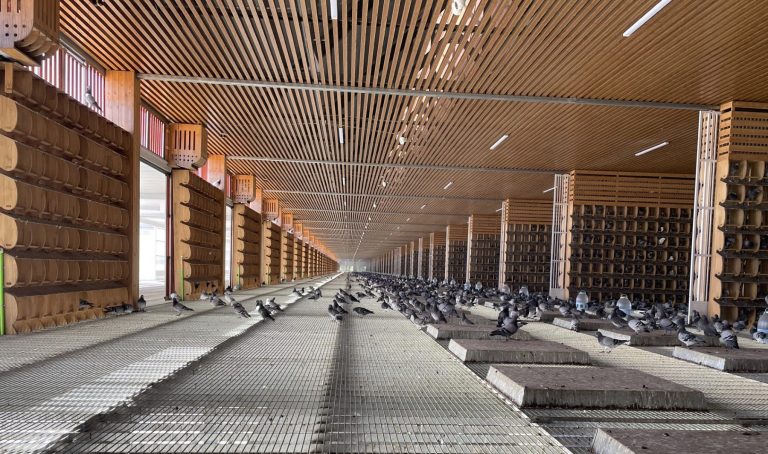 One Loft in China